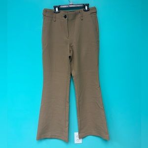 Anna Taylor loft Womans pants